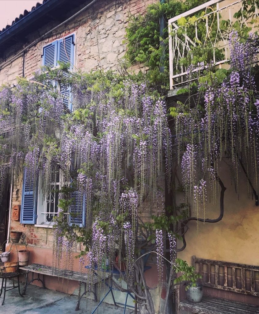 Progettazione casa di campagna