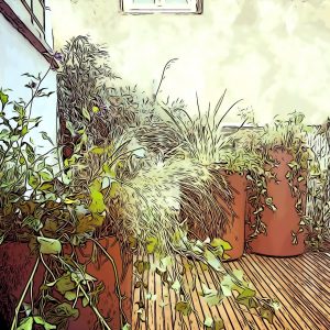 Terrazzi