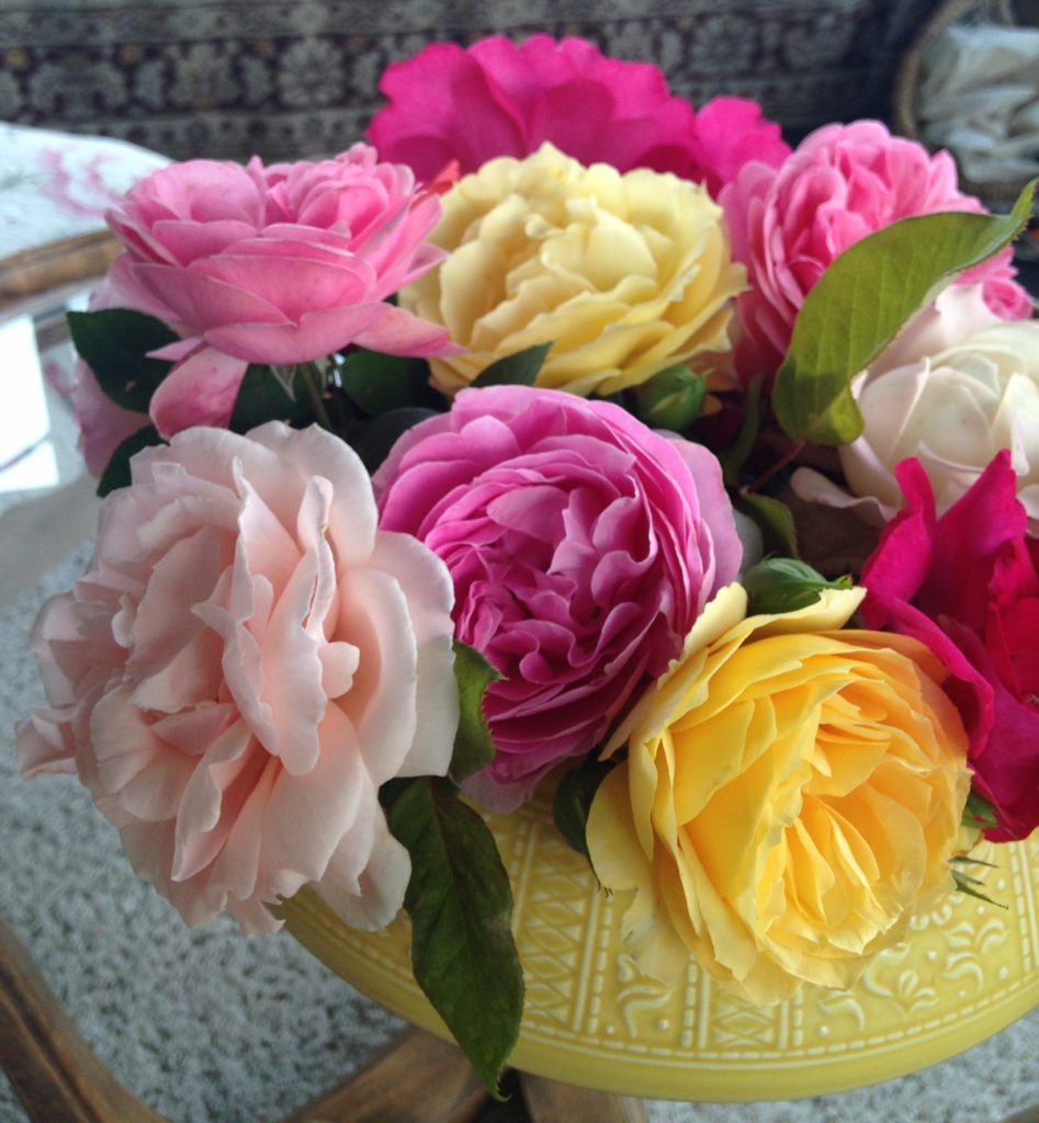 il fascino delle rose in inverno: metterle in una zuppiera per decorare la casa Il fascino delle rose in inverno