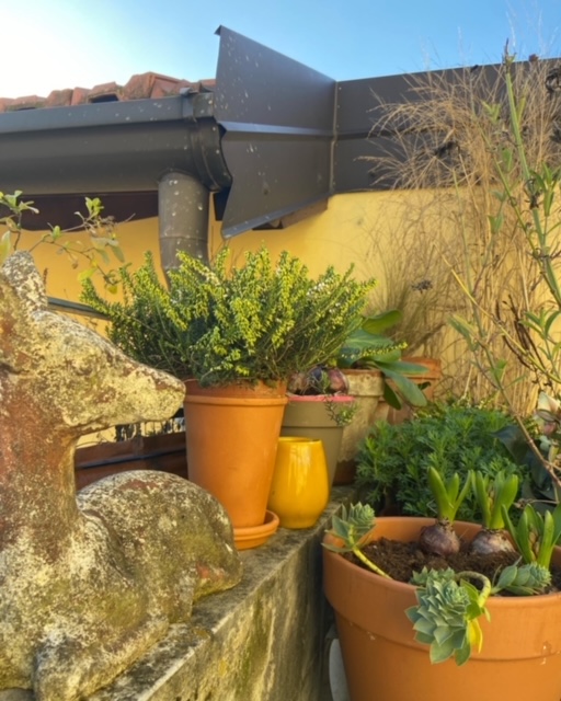 Un davanzale per Natale